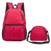 2in1_Bag1 Lutz 2 in 1 Bag