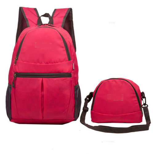 2in1_Bag1 Lutz 2 in 1 Bag