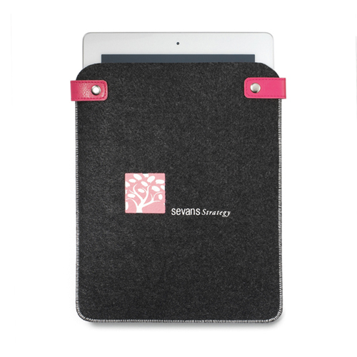 Velvet iPad pouch