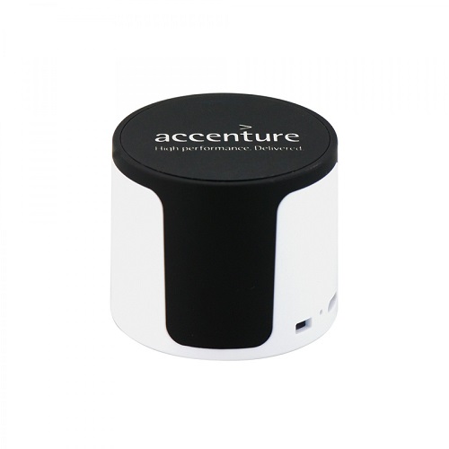 Wireless Speaker