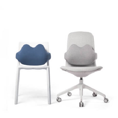 Memory Foam Backrest Pillow Cushion Picture 3