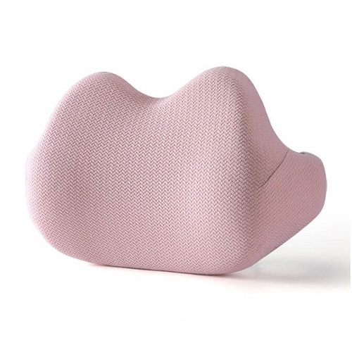 Memory Foam Backrest Pillow Cushion Picture 7