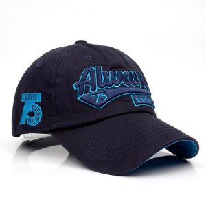Custom 3D logo Embroidery Baseball Cap Singapore