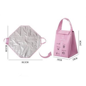 Custom insulated lunch bag Singapore