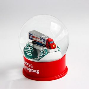 Custom Snow Globe
