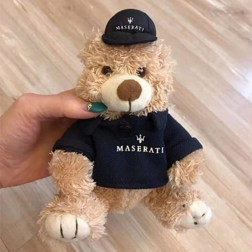 Custom Teddy Bear Soft Toy Picture 3