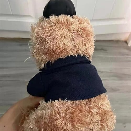 Custom Teddy Bear Soft Toy Picture 4