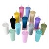 Singapore Supplier V Shape Frosted Tumbler With Straw Picture 2