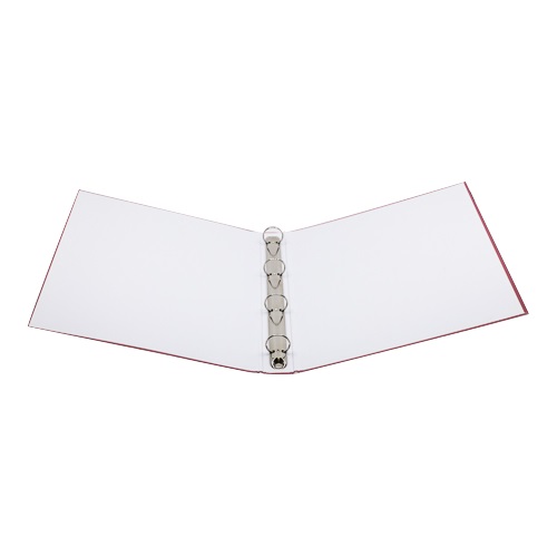 Custom Logo Print A4 Ring File Folder- Picture 4 Custom Logo Print A4 Ring File Folder Picture 4