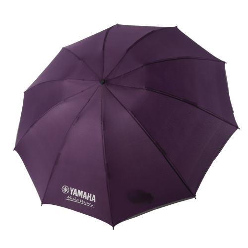 Corporate Umbrella Corporate Umbrella