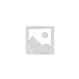 Custom Travel Adapters